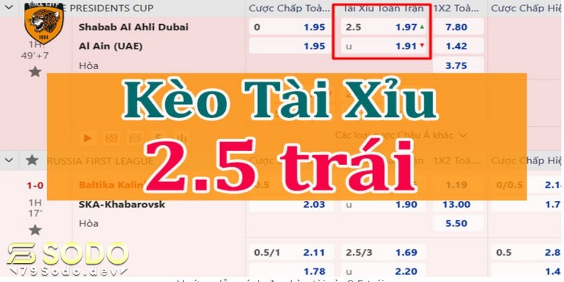 Kèo tài xỉu 2 1/2 được ưa chuộng lựa chọn nhiều trong cá độ