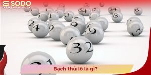 Bạch thủ lô là gì?