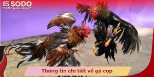 Thông tin chi tiết về gà cọp