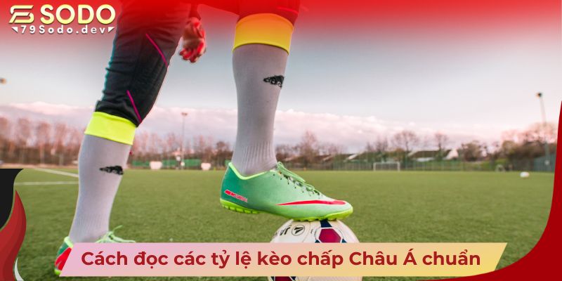 Cách đọc các tỷ lệ kèo chấp Châu Á chuẩn