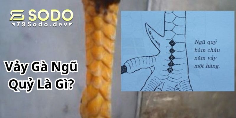 Tìm hiểu sơ lược vảy gà ngũ quỷ là gì?