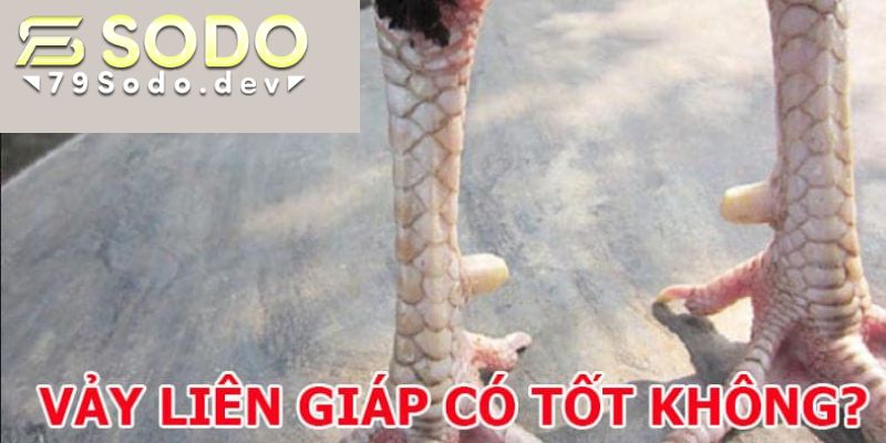 Vảy liên giáp có tốt không?